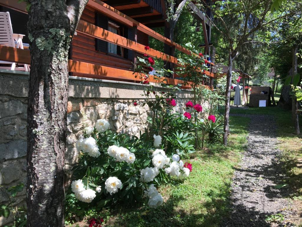 Chalet Slap Na Kupi Severin na Kupi 外观 照片